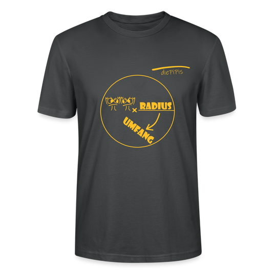 Pi Radius Shirt - Die PiPi Bros - Anthrazit